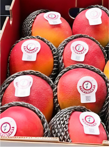 fruta01